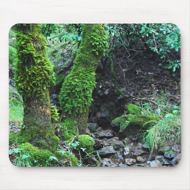 Alfombrilla De Ratón Mossy Trees (Frente)