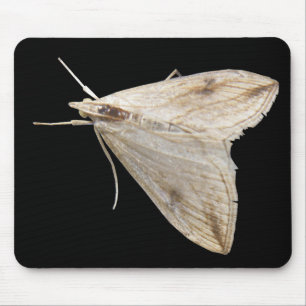 Alfombrilla De Ratón Moth Mousepad