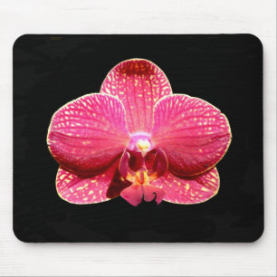 Alfombrilla De Ratón Moth Orchid Mouse Mat