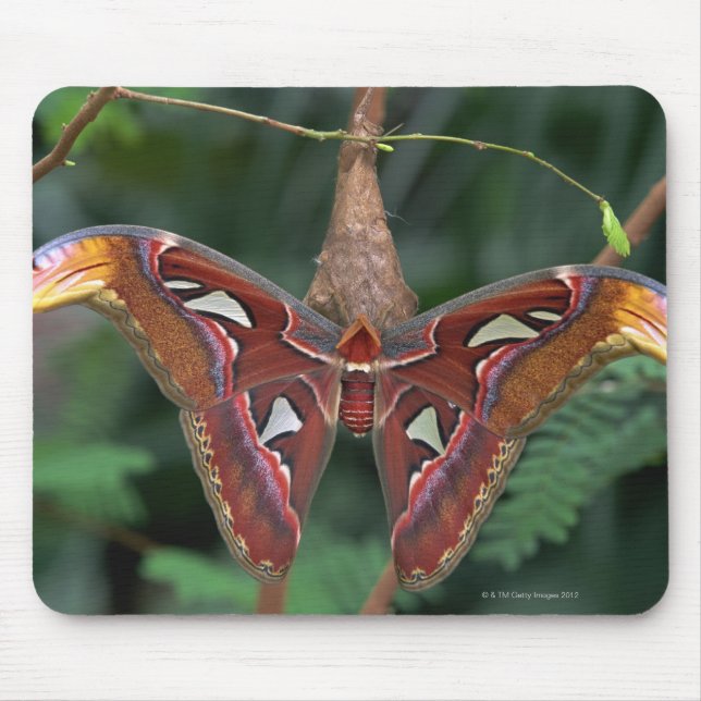 Alfombrilla De Ratón Moto de Atlas (Frente)