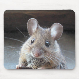 Alfombrilla De Ratón Moue mousepad