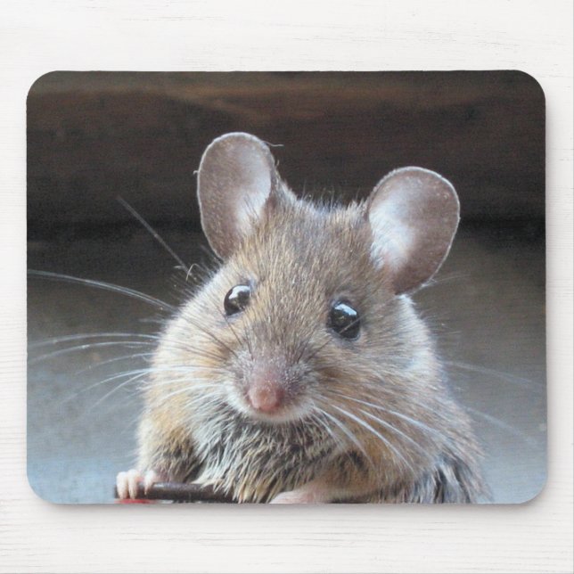 Alfombrilla De Ratón Moue mousepad (Frente)