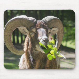 Alfombrilla De Ratón Mouflon Ram