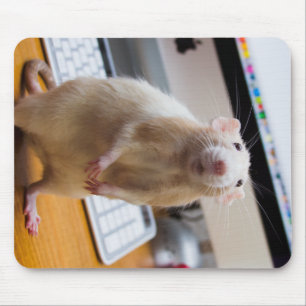 Alfombrilla De Ratón Mouse Marty Mousepad - Ratón informático