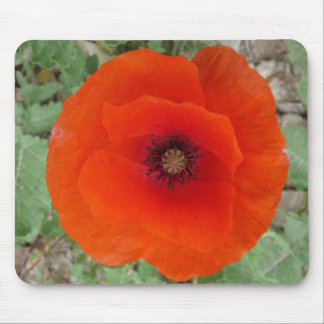 Alfombrilla De Ratón Mouse Pad. Poppy (Amapola)
