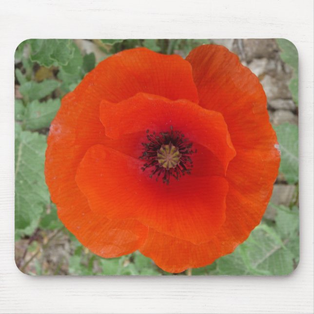 Alfombrilla De Ratón Mouse Pad. Poppy (Amapola) (Frente)