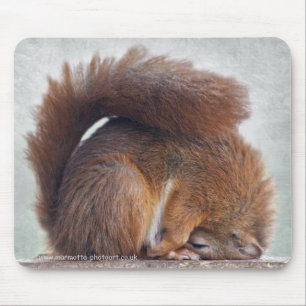 Alfombrilla De Ratón Mousemat de ardilla de yoga