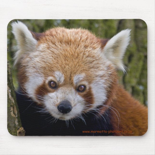 Alfombrilla De Ratón Mousemat Red Bandit (Frente)