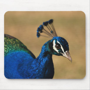 Alfombrilla De Ratón Mousemats y mousepad adaptables del pavo real