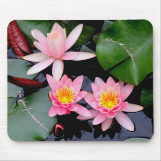 Alfombrilla De Ratón Mousepad