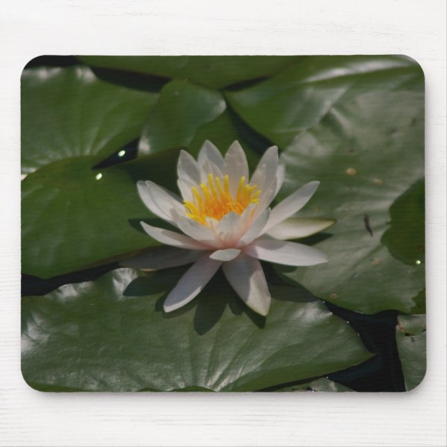 Alfombrilla De Ratón Mousepad (Frente)
