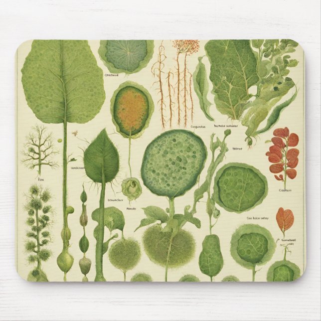 Alfombrilla De Ratón Mousepad (Frente)