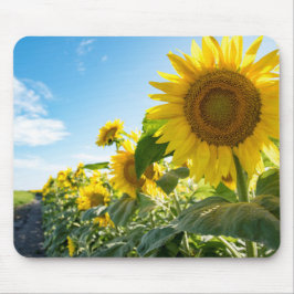 Alfombrilla De Ratón Mousepad