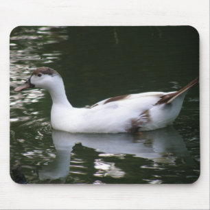 Alfombrilla De Ratón Mousepad