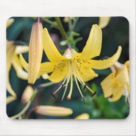 Alfombrilla De Ratón Mousepad