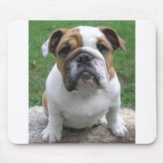 Alfombrilla De Ratón mousepad