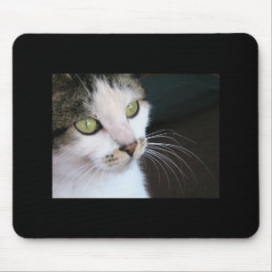 Alfombrilla De Ratón Mousepad