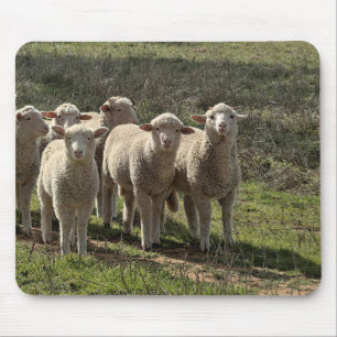 Alfombrilla De Ratón Mousepad