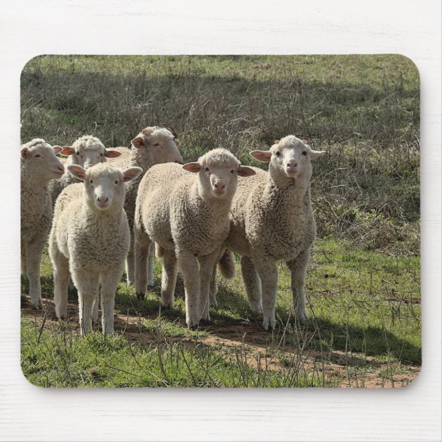 Alfombrilla De Ratón Mousepad (Frente)