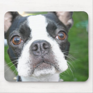 Alfombrilla De Ratón Mousepad