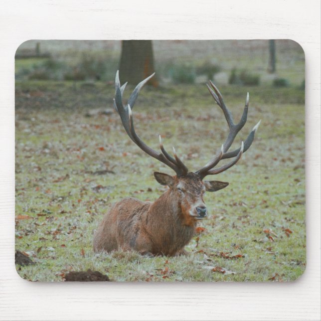 Alfombrilla De Ratón Mousepad (Frente)