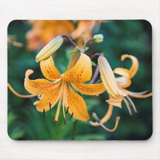 Alfombrilla De Ratón Mousepad (Frente)