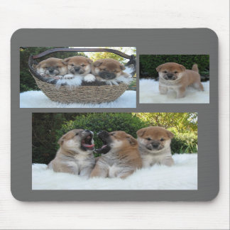 Alfombrilla De Ratón Mousepad