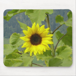 ALFOMBRILLA DE RATÓN MOUSEPAD