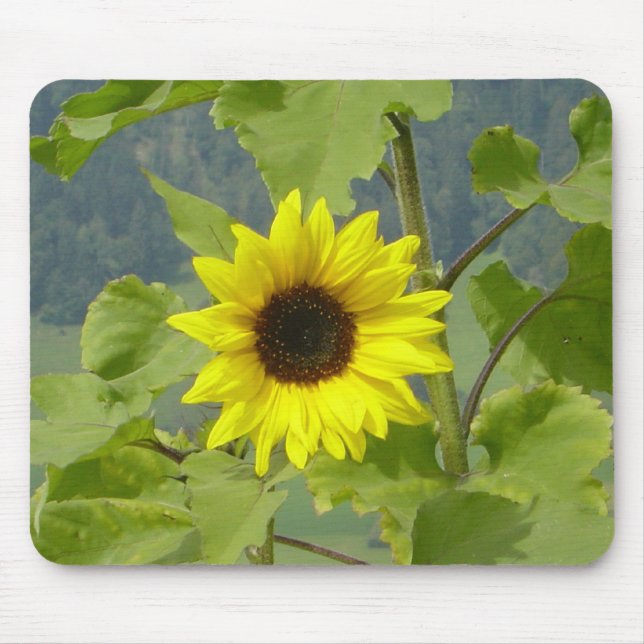 ALFOMBRILLA DE RATÓN MOUSEPAD (Frente)