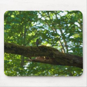 Alfombrilla De Ratón Mousepad