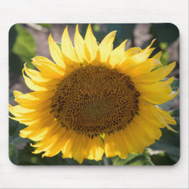 Alfombrilla De Ratón Mousepad