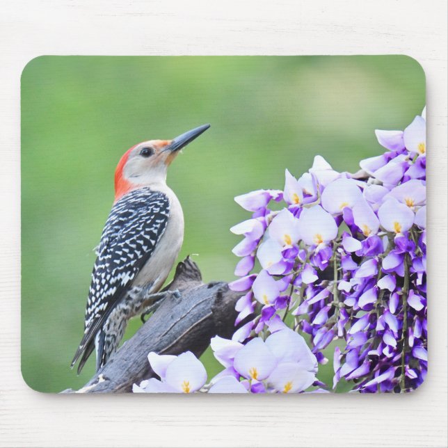 Alfombrilla De Ratón Mousepad (Frente)