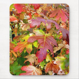 Alfombrilla De Ratón Mousepad