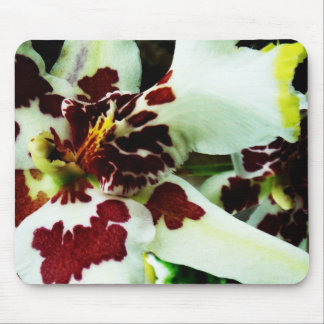Alfombrilla De Ratón Mousepad 9