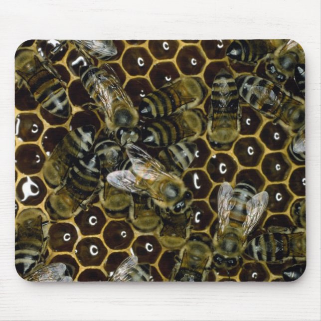 Alfombrilla De Ratón Mousepad - abejas en el peine (Frente)
