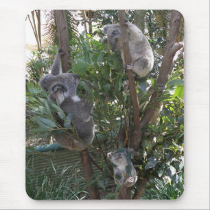Alfombrilla De Ratón Mousepad Adopta Un Koala Australia