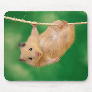 Alfombrilla De Ratón Mousepad adorable del hámster