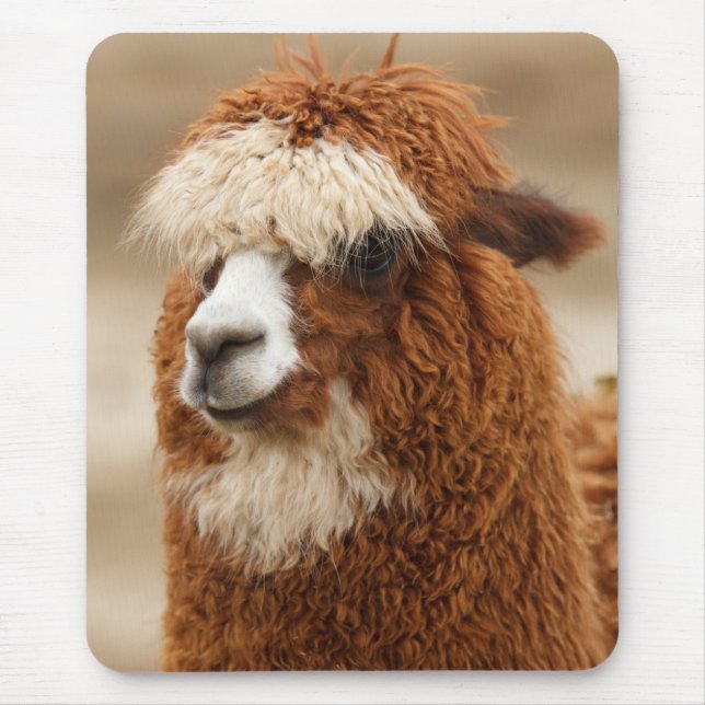 Alfombrilla De Ratón Mousepad alpaca (Frente)
