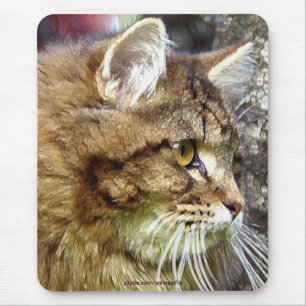 Alfombrilla De Ratón Mousepad, amante del gato, Maine Coon