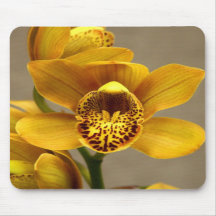 Mousepad amarillo de la orquídea