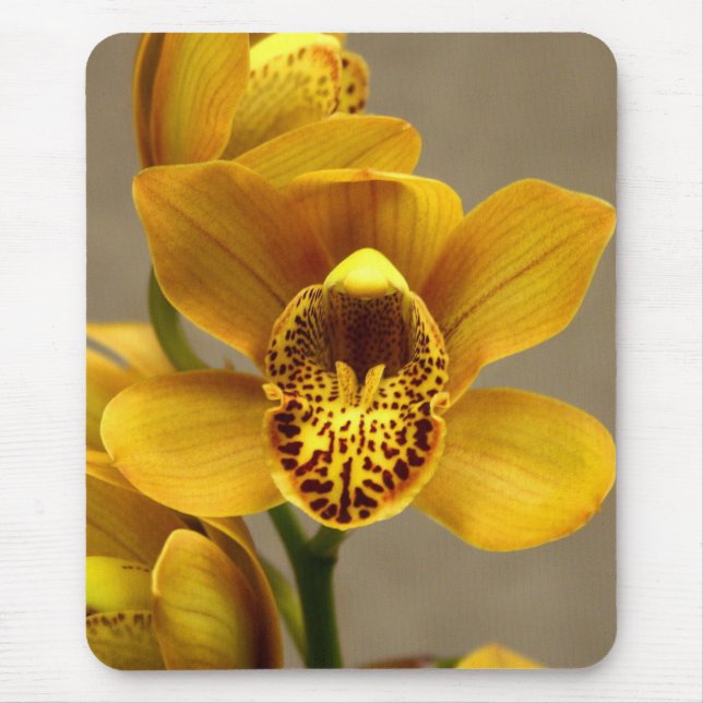 Alfombrilla De Ratón Mousepad amarillo de la orquídea (Frente)