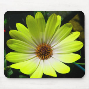 Alfombrilla De Ratón Mousepad amarillo fluorescente de margarita africa