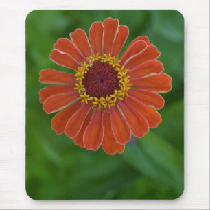 Alfombrilla De Ratón Mousepad anaranjado brillante del flor de la flor