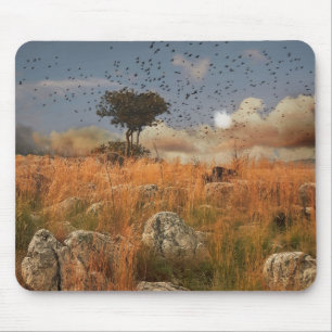 Alfombrilla De Ratón Mousepad Árbol Solitario Y Aves