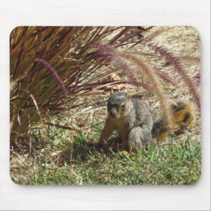 Alfombrilla De Ratón Mousepad - ardilla en la hierba