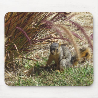 Alfombrilla De Ratón Mousepad - ardilla en la hierba