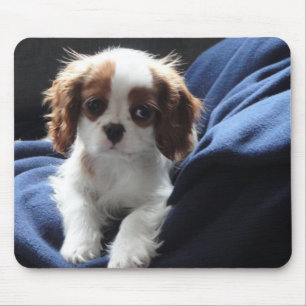 Alfombrilla De Ratón Mousepad arrogante del perrito de rey Charles