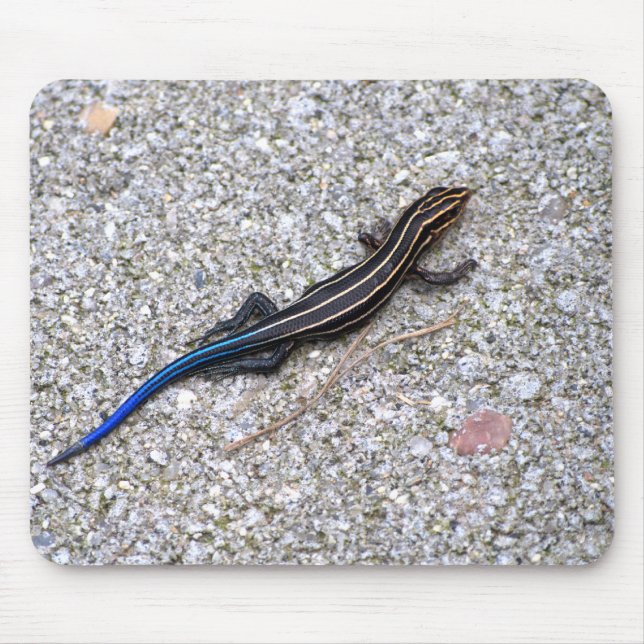 Alfombrilla De Ratón Mousepad atado azul de Skink (Frente)