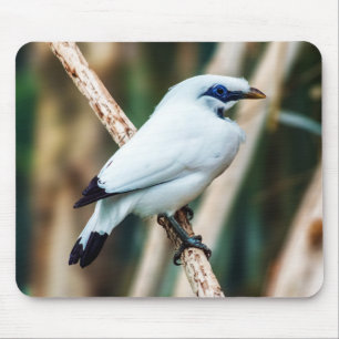 Alfombrilla De Ratón Mousepad Bali Mina Bird
