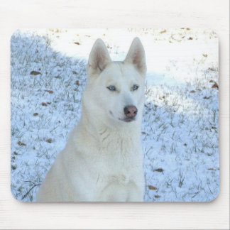 Alfombrilla De Ratón Mousepad blanco del husky siberiano